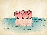 成语玩命猜水上一朵莲花答案是什么？