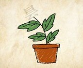 成语玩命猜一盆植物上面一个昙字答案是什么？