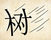 成语玩命猜树答案是什么？